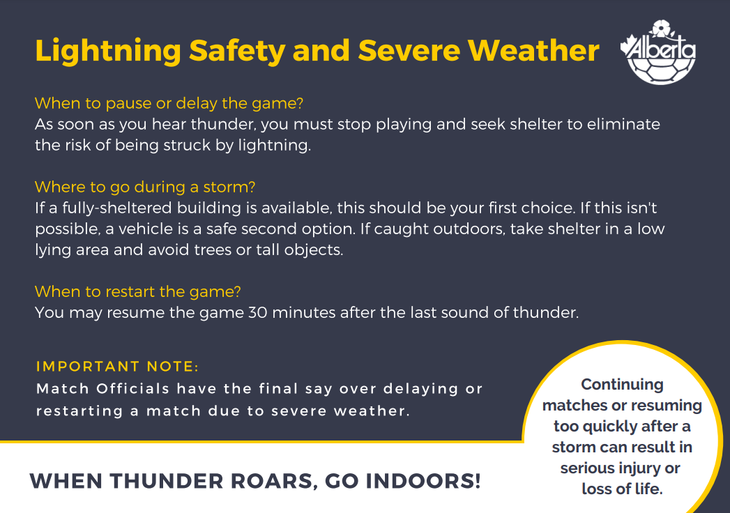 Lakeland District Soccer Association site by RAMP InterActive